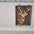 home decor 7 thumbnail