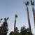 Ramirez the green landscaping maintenance n san diego areas 6 thumbnail
