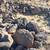 TONS Lanndscape Rocks for Waterfall water feature yard garden art 2 thumbnail