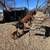 Boer/Nubian Male Goat 2 thumbnail