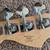 Fender Squire P/J Bass & Johnson P-Bass 3 thumbnail