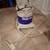 shop-vac 1 thumbnail