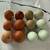 Fertile Hatching Eggs 1 dozen/12 eggs 12 thumbnail