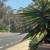 jumbo room 20 ft high in  ceiling forest nr Irvine Spectrum handyman welcom 10 thumbnail