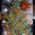 Weed Plant Mixed Media Collage Painting Original Artwork 1 thumbnail