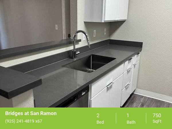 $2,600 / 2br - 750ft2 - Small Dogs & Cats Welcomed, Spacious Floorplan Designs (danville / san ramon)63880131683201120