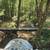 Arkansas  Ozarks 6 thumbnail
