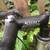 Ellsworth roadbike 16 lbs 58 cm full Ultegra New condition Easton EC90 8 thumbnail