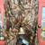REALTREE HARDWOODS CAMO SET 1 thumbnail