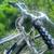 GIANT ROAD HYBRID BIKE 700c tires bicycle 3 thumbnail