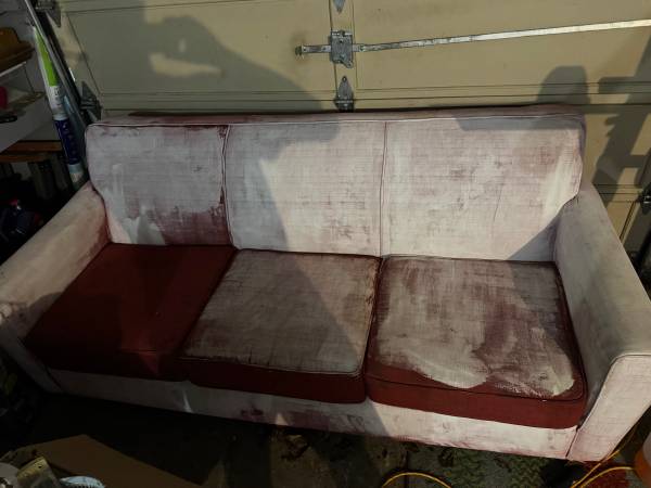 Free couch 1