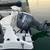 Beautiful 2004 Seaswirl Striper 2101 W/A 15 thumbnail