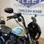 2019 Harley Davidson Sportster XL1200NS 15K Miles 9 thumbnail
