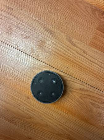 2 amazon echo dots 1