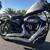 2010 Harley Davidson Forty-eight Sportster. 2 thumbnail