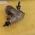 RC AIRPLANE OS LA  46 4 thumbnail