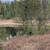 17.71 ACRES IN 2 PARCELS WITH  A CABIN AND A POND! 14 thumbnail
