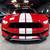 2019 Ford Mustang Shelby GT350 Coupe 2D 17 thumbnail