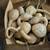 Craft Gourds Dried 1 thumbnail