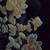 Old real mother of pearl inlaid Chinese Coffee table with Jade carving 1 thumbnail