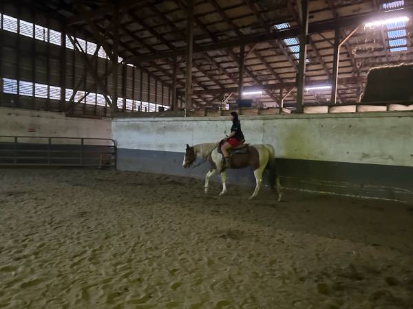 Lecciones y arriendos de equitación! (Portland)63842374120579122