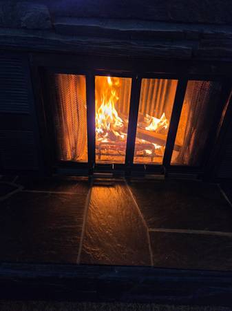 Split dry firewood 1