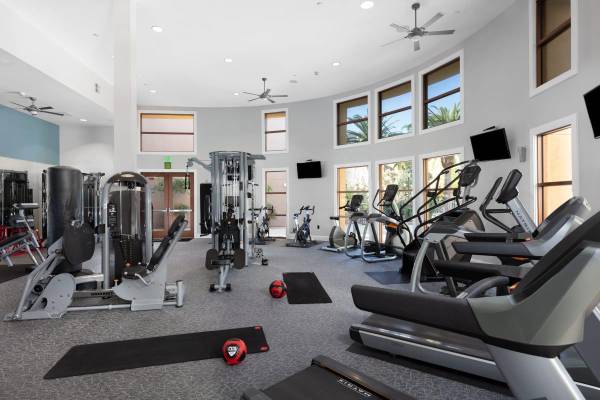 $3,516 / 1hab - 871ft2 - Taquillas para paquetería, amplias ventanas con vistas impresionantes (santa clara)63658029741569122
