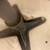 Charles Eames for Herman Miller Swivel Bucket Chair 4 thumbnail