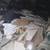 GARBAGE REMOVAL/DEMO/TREE CUTTING /YARD CLEANING (516-688-4452) 2 thumbnail