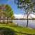 Spacious layout with private washer & dryer! 1292 SqFt 4 Bed, 2 Bath 23 thumbnail
