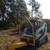 Tree pulling, storm cleanup and brush removal 13 thumbnail