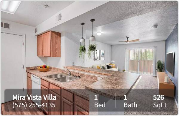 $607 / 1br - 526ft2 - The prime location you've been waiting for! Beautiful 1 bed, 1 bath! (Las Cruces)63867484602113122