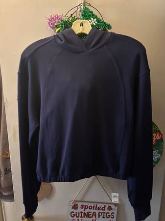 Aerie athletic hoodie 1