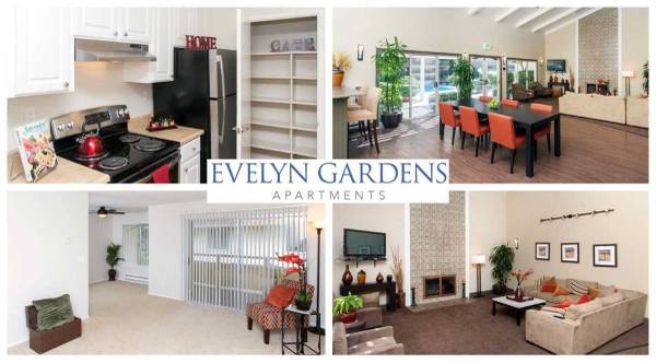 $3,354 / 2br - 863ft2 - Spacious 2x1 Apartment, and W/D in unit available 11/04/25 (sunnyvale)63834323500673120