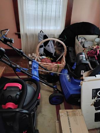 SNOJOE 21" 15 AMP Sno Blower 1