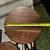 Solid Wood Bar Stools 6 thumbnail