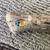 Bass Pro Shop Bionic Blade IM6 5 Ft 6 In Heavy Action Casting Rod 4 thumbnail