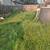Need help with lawn care 3 thumbnail