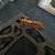 Crested geckos 10 thumbnail