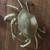 Brass Crab figurine ashtray 3 thumbnail