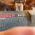 Miter saw 12 slider Bosch 5412L 1 thumbnail