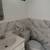 No Fee PLG One Bedroom 2 thumbnail