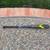 $400 EASTON GHOST X 100% Composite 2 5/8" USA Baseball bat 32 22 1 thumbnail