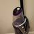 BISSELL ProHeat 2X® Revolution® Pet Pro Plus 3 thumbnail