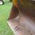 Auction: John Deere Model 544-B Articulated Wheel Loader (1681) 15 thumbnail
