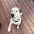 Cute happy sweet girl needs a home 4 thumbnail