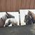 EXCELLENT! Used Canvas horse art ($85/each set of 4 panels) 1 thumbnail