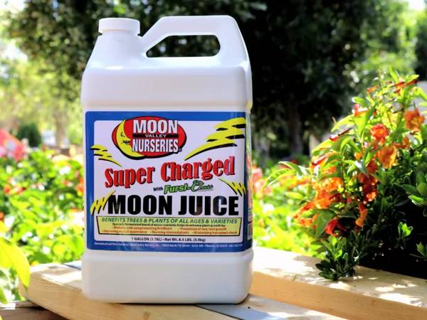 🌳🌴(1 Gal.) Moon Valley Super Charged Moon Juice (Fresh/ Sealed)🌳🌴 1
