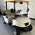 2026 e-GOLF CART- FORTIS - LITHIUM 7 thumbnail