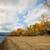Studio, Kelowna BC, Outdoor Ping Pong Area 1 thumbnail